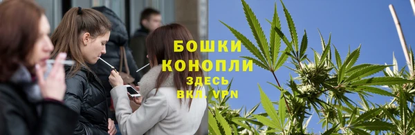 сатива Армянск