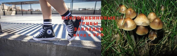 сатива Армянск