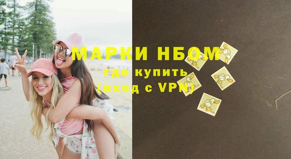 сатива Армянск