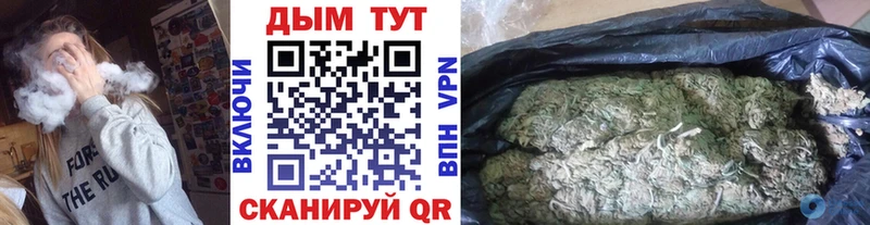Каннабис Amnesia  продажа наркотиков  Гаджиево 